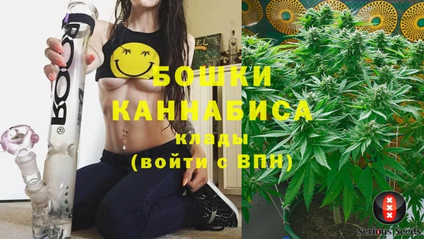 амф Инта