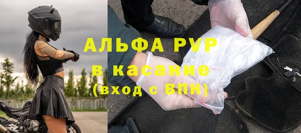 амф Инта