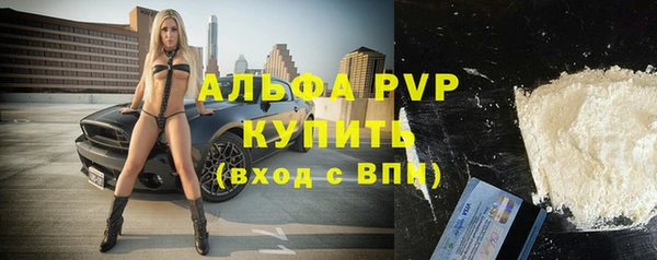 амф Инта