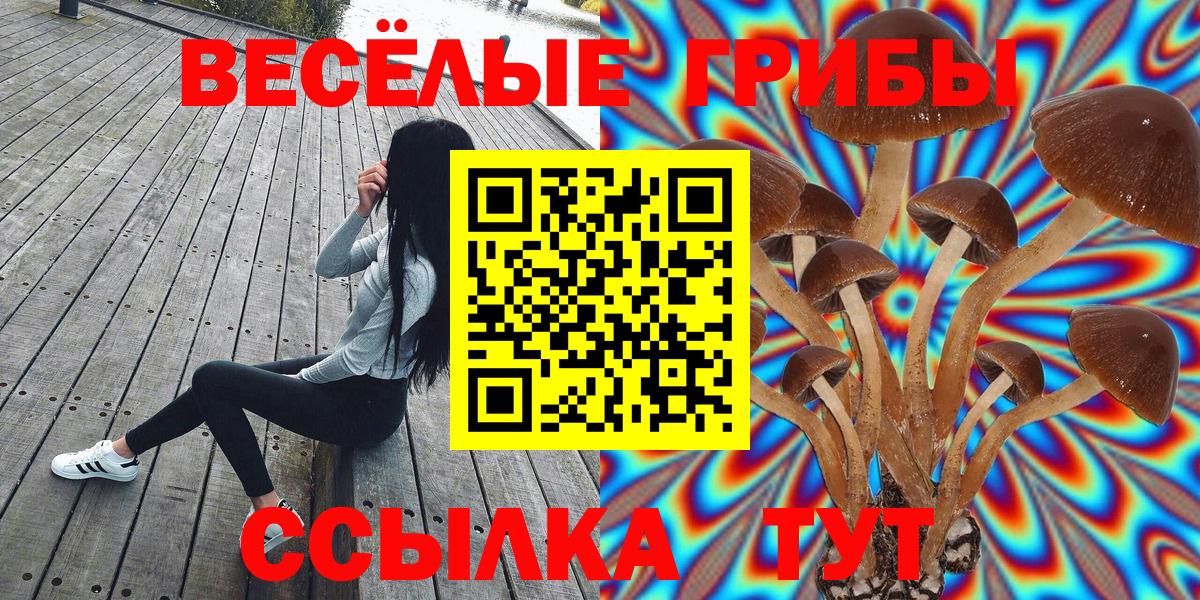 Галлюциногенные грибы Psilocybine cubensis Карталы